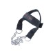 Head harness